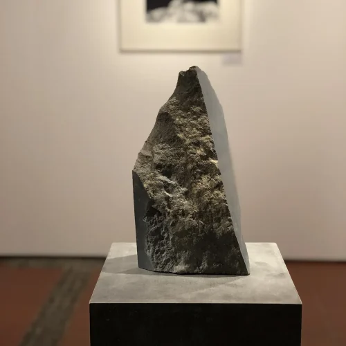 Daniel+Probst+ein+Stück+Heimat+Allgäuer+Festwoche+2